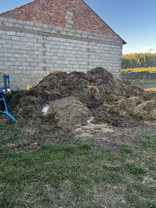 Obornik konski! Wymienie za slome