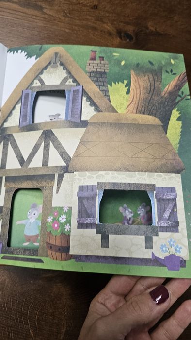 Barry Timms Gdzie mieszka szczęście ksiazka z okienkami