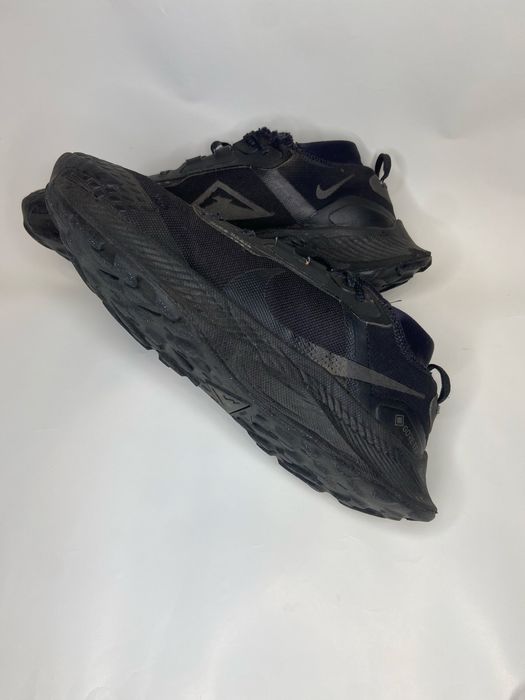 Кросівки Nike Pegasus Trail 3 Gtx Black