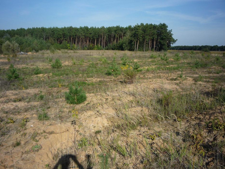 земельна ділянка промислова