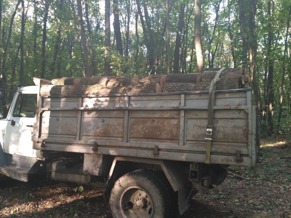 Продам Дрова твердих порід