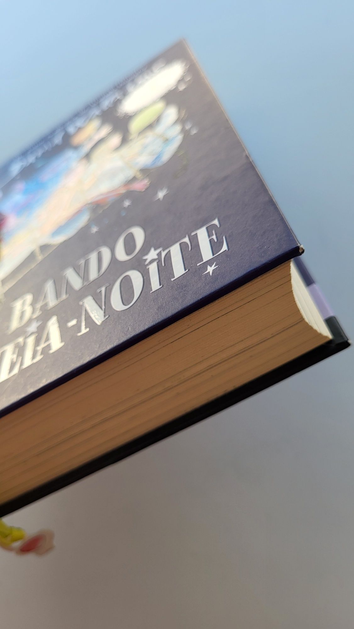 Livro O Bando da Meia Noite - David Walliams