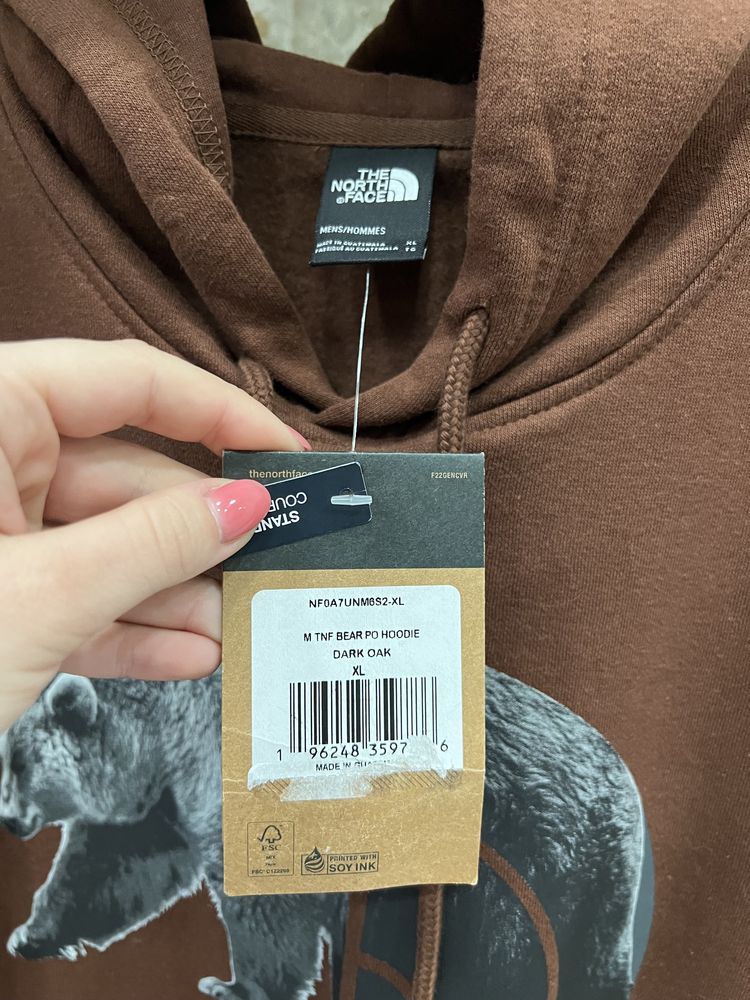 Худи The North Face Bear PO hoodie оригинал новая