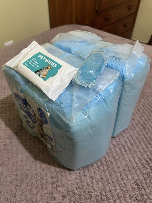 Conjunto de Higiene para Cães (Como Novos)