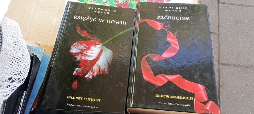 Ksiáżka saga Zmierzch