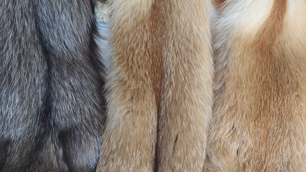 Хутро натуральне для шуби або на комір