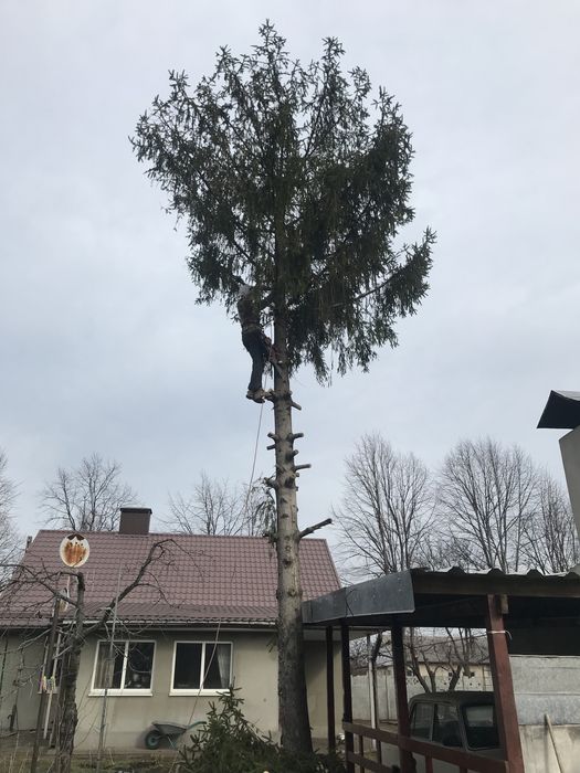 Спил високих дерев , зрізання аварійних гілок) є необхідне спорядження