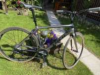 Rower fitness Trek emonde sl 6 roz 54