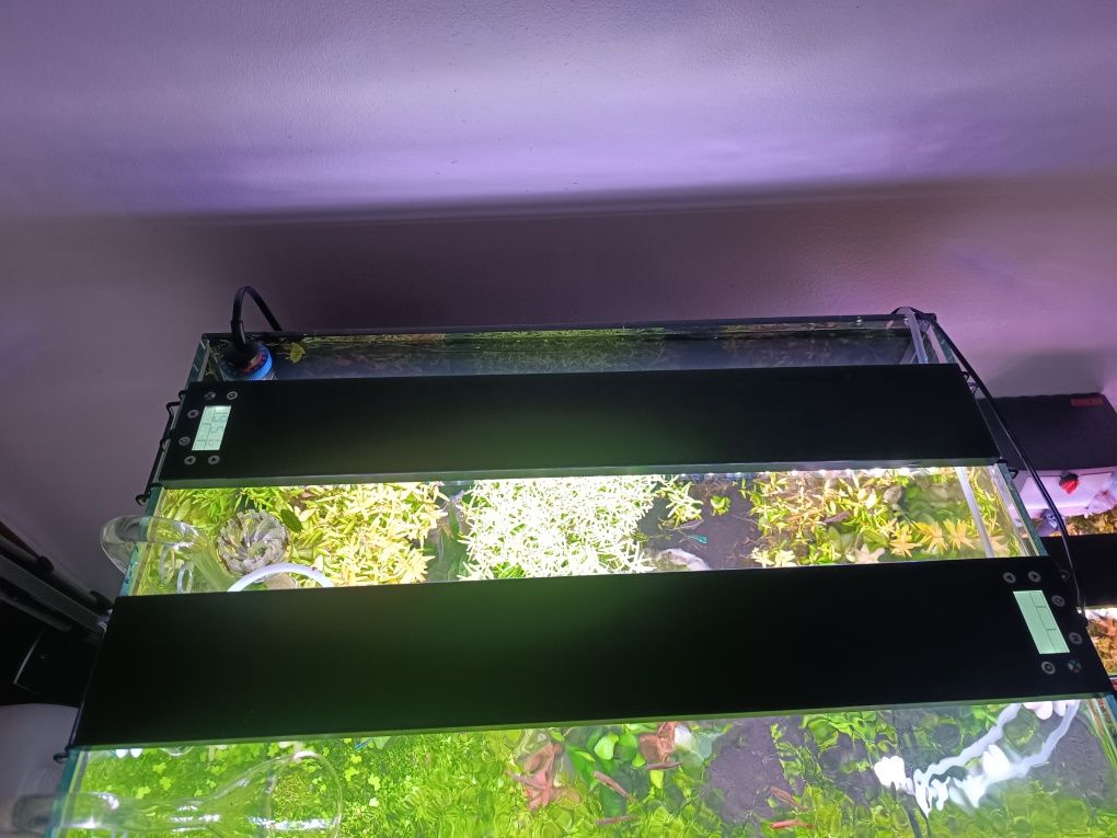 Aquário 160 litros como novo sem um único risco tem um ano, completo.