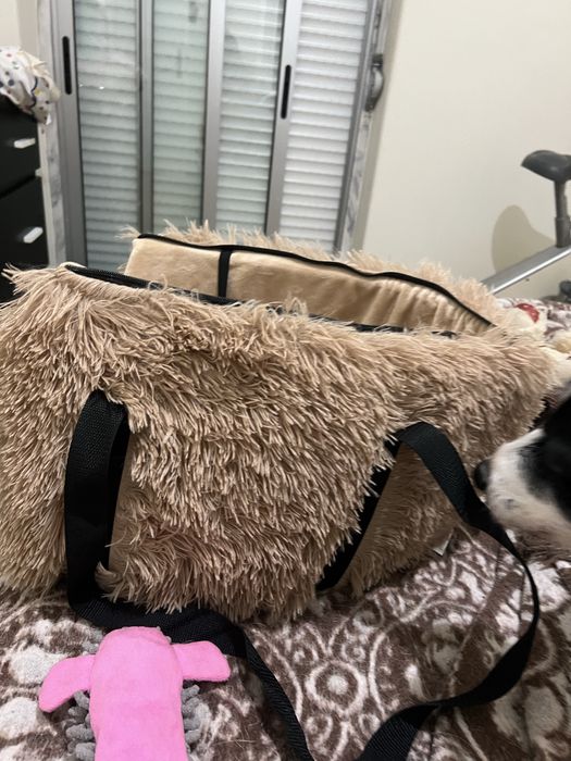 Bolsa Para Carregar Cães/Gatos