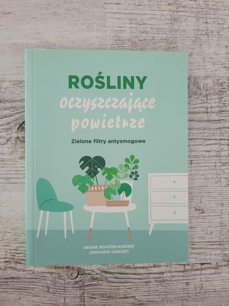 Rośliny oczyszczające powietrze