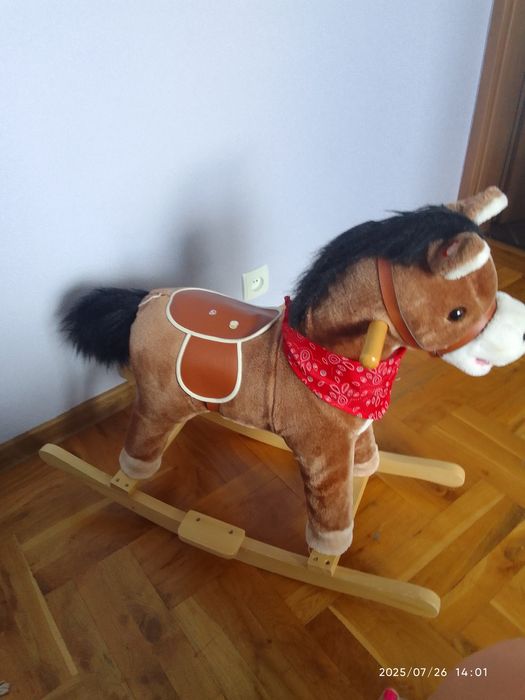 Konik na biegunach śpiewający