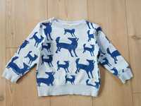 H&M bluza sweatshirt 98/104 z psami psy lisy dogs lindex