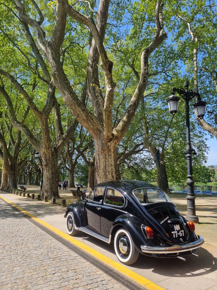 Carros antigos/clássicos para casamentos e outros eventos