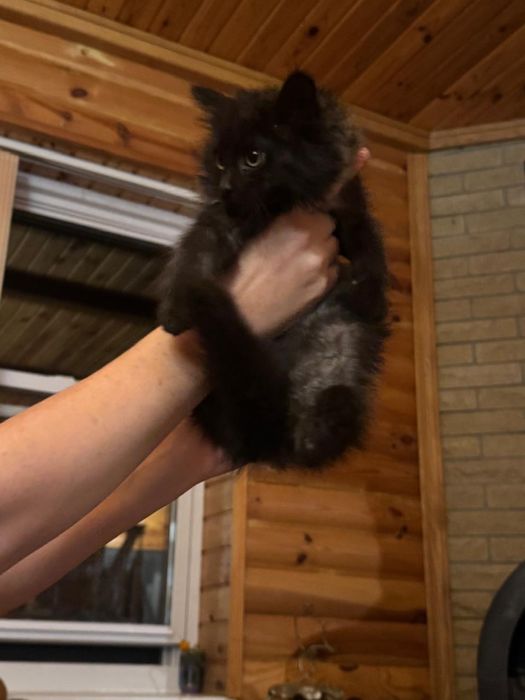 Хлопчик, 2 місяця