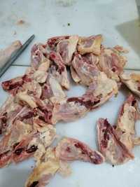 Корм для животных, фарш куриный мясокостный