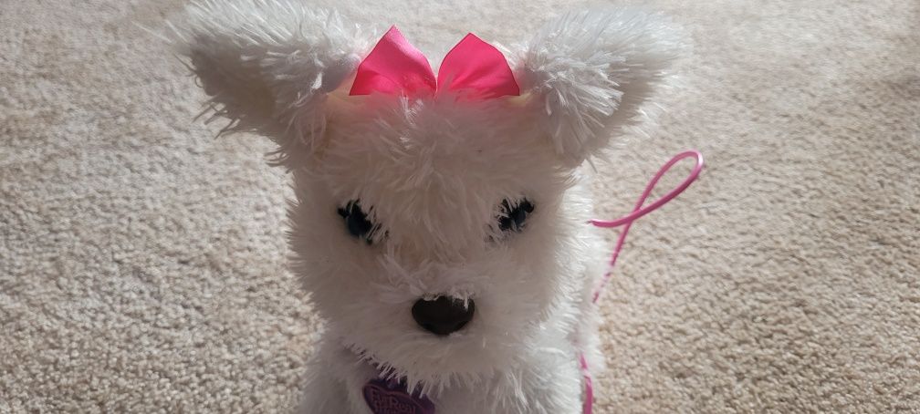 Hasbro FurReal Friends Mój Piesek Go Go