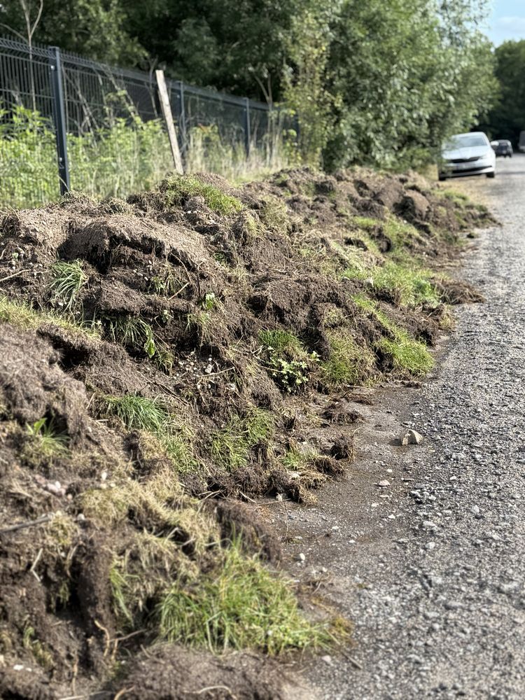 Humus Oddam za darmo Ziemie po wycięciu trawy z ogrodu 340m2