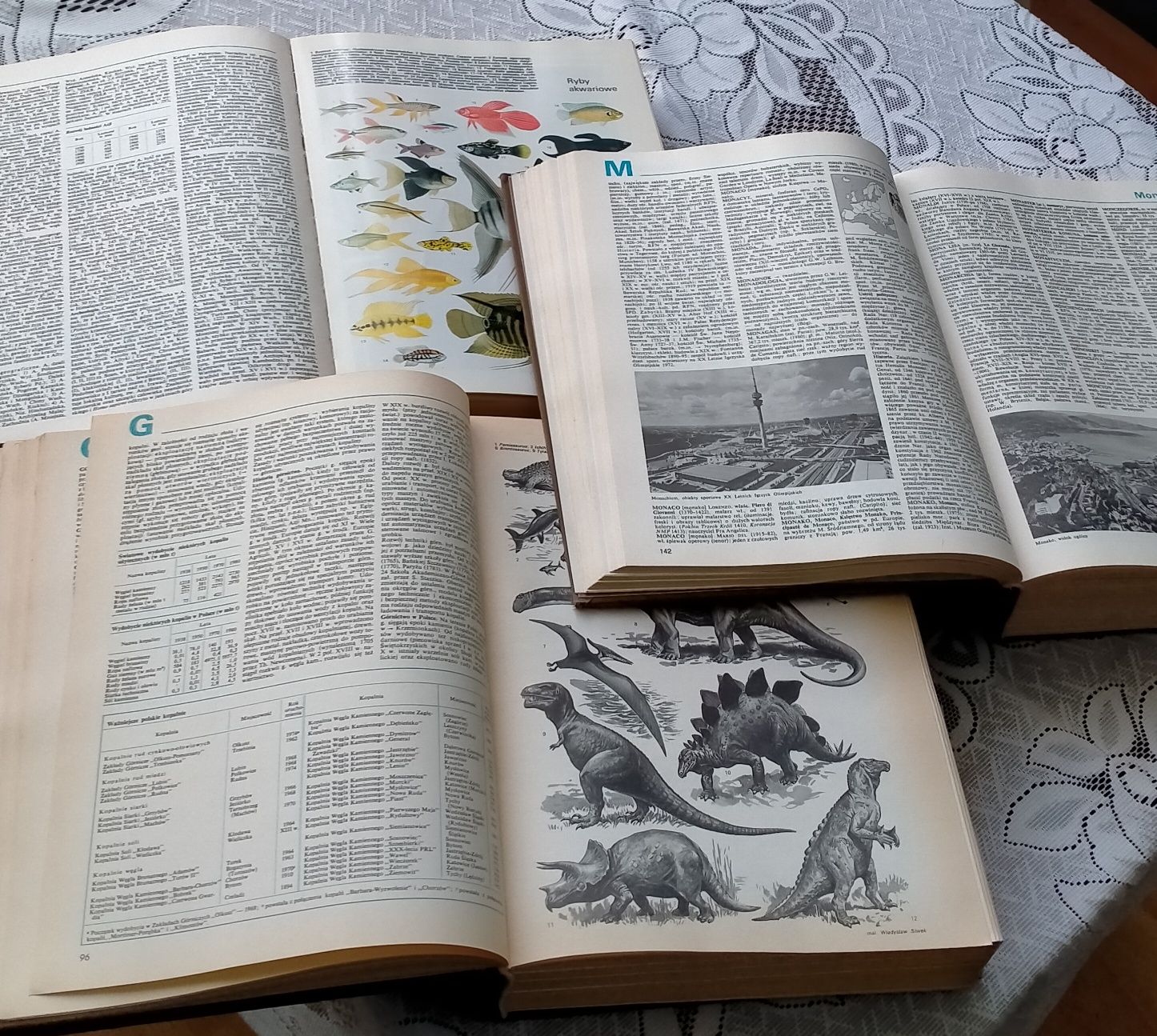 Encyklopedia powszechna PWN