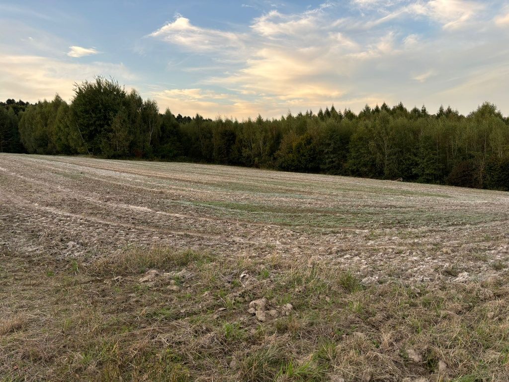 Działka rolna 46a Gmina Wielka Wieś Biały Kościół ul. Iwiny