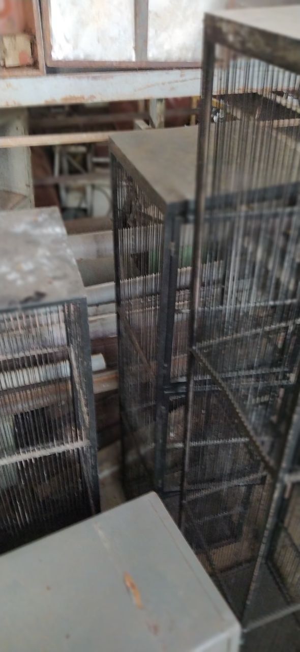 Продам клетки сетки вольер для птиц