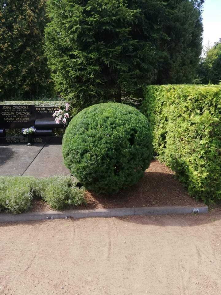Przycinanie i formowanie krzewów