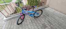 Rower indiana roxy JR 24
