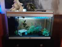 Aquario Aquatlantis + peixes + acessorios + Decoraçoes + aquario peque