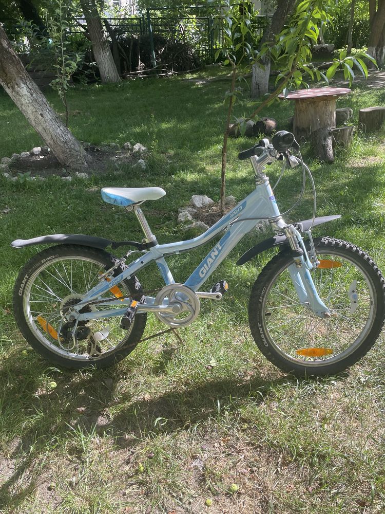 Дитячий велосипед Giant Areva 20