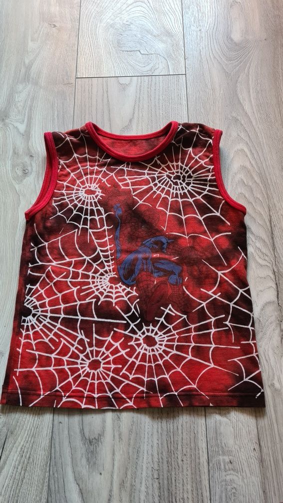 Paka ubrań dla chłopca 12 szt. rozm.110 koszula bluza dres kurtka