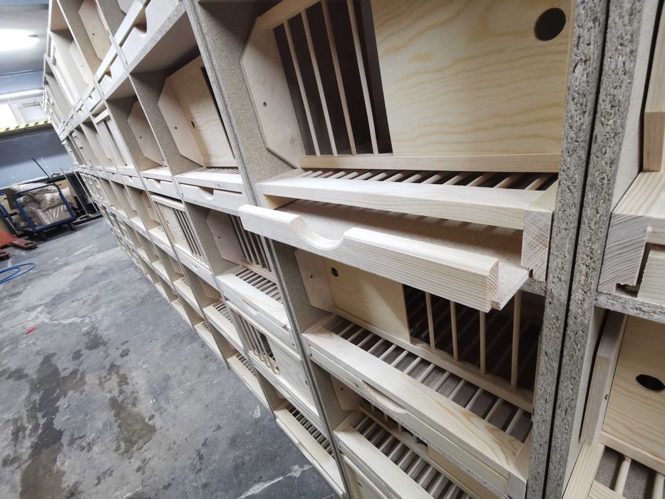 Cele dla gołębi lęgowe