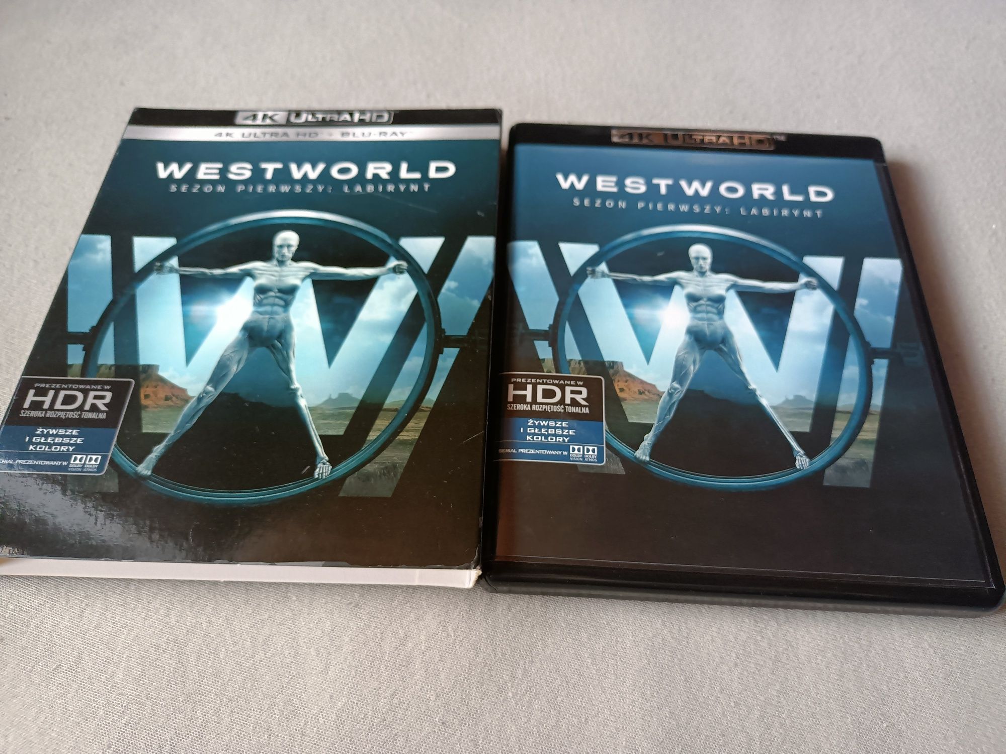Westworld 4k sezon 1: Labirynt