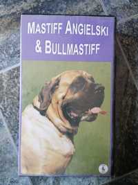 Kaseta VHS "Mastiff Angielski i Bullmastiff" film o psach