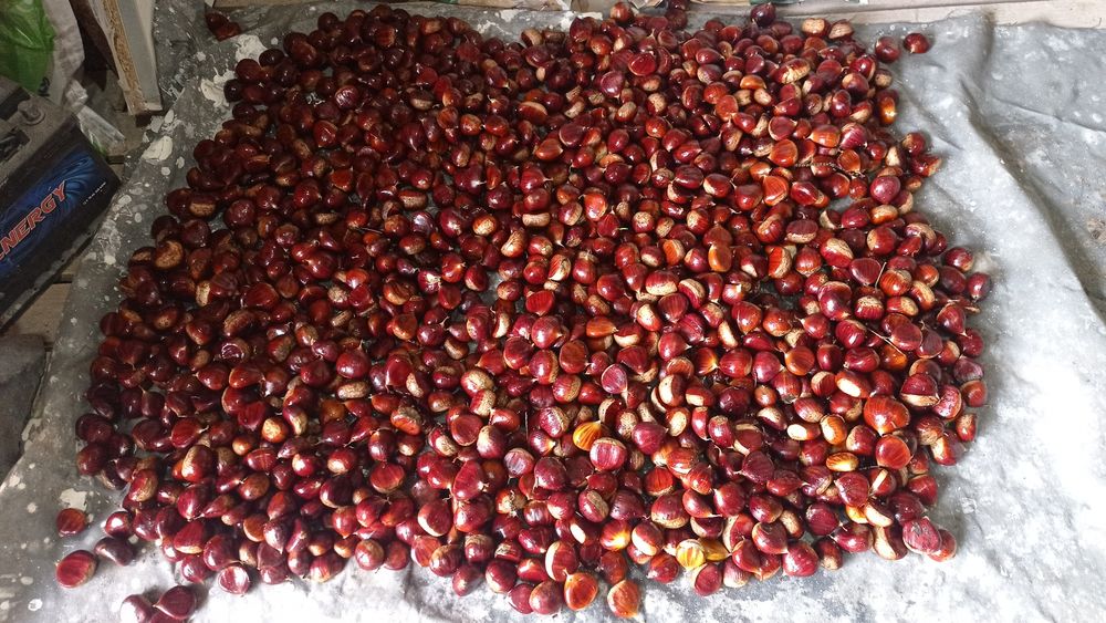 Vendo castanhas biológicas 3€ k