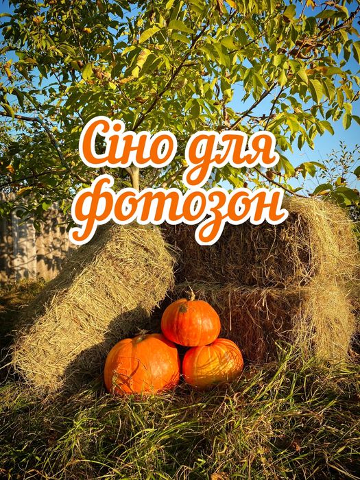 ТЮКИ сена + Доставка по Харькову!