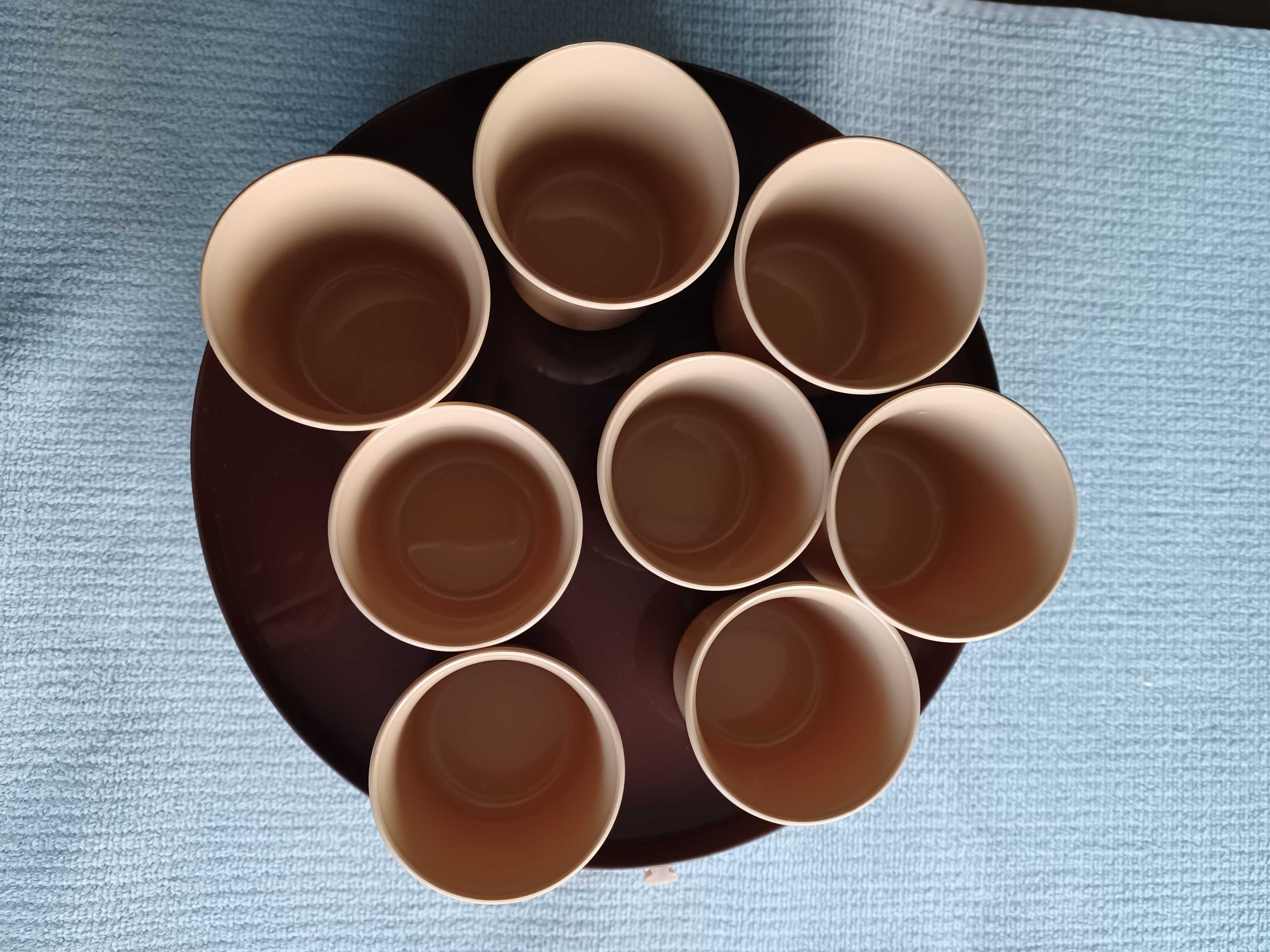Conjunto para Picnic em plástico resistente - NOVO