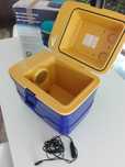 Mala térmica electrica 20L