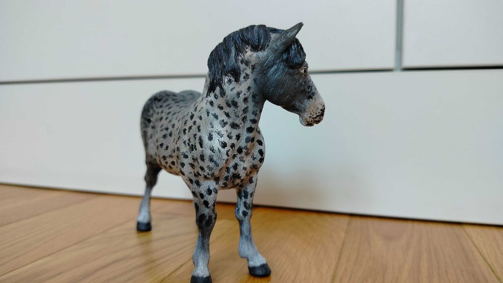 Custom klacz Suffolk Punch Mojo