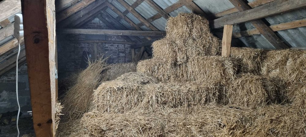 Słoma w małych kostkach