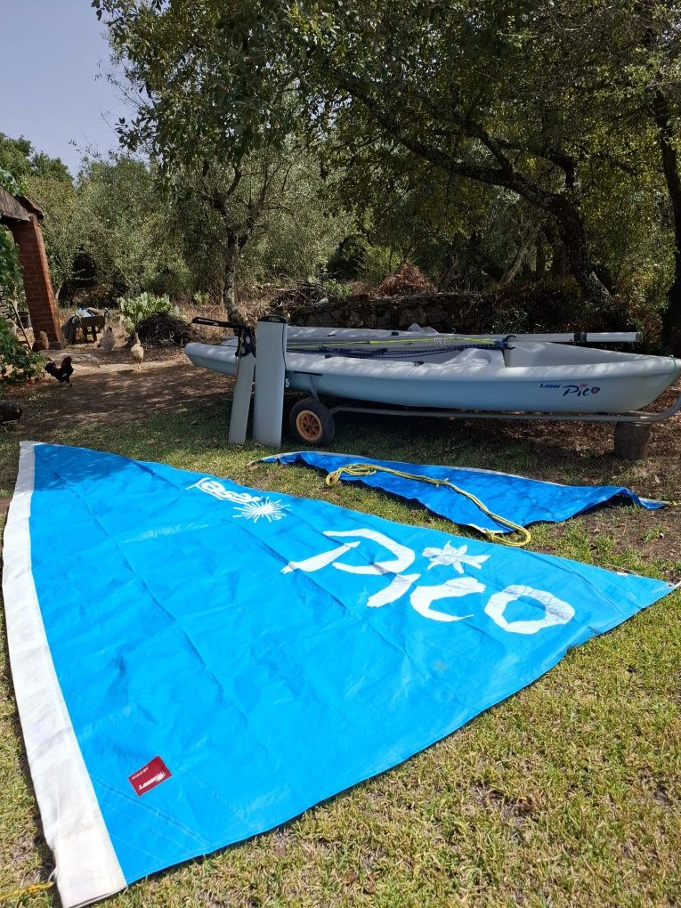 Barco vela Laser Pico