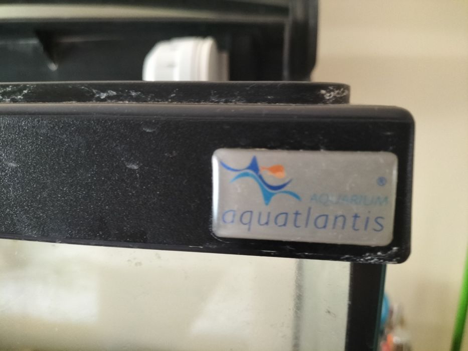 Aquário aquatlantis