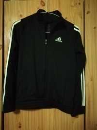 Casaco Adidas