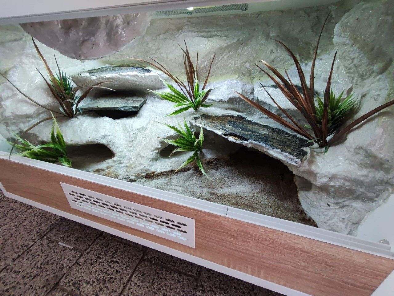 Terrarium gekon lamparci jaszczurka PETMARKET