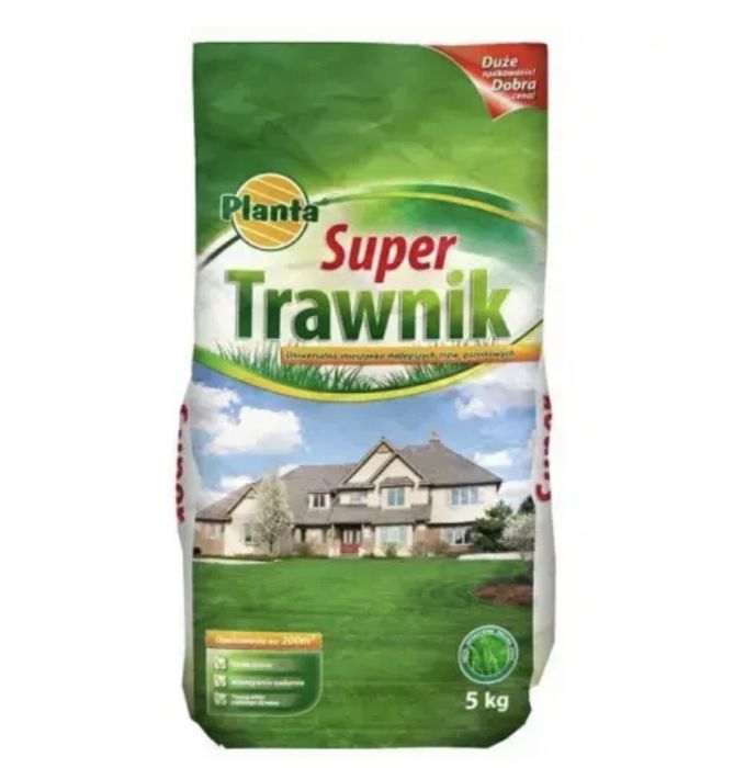Planta super wembleyka