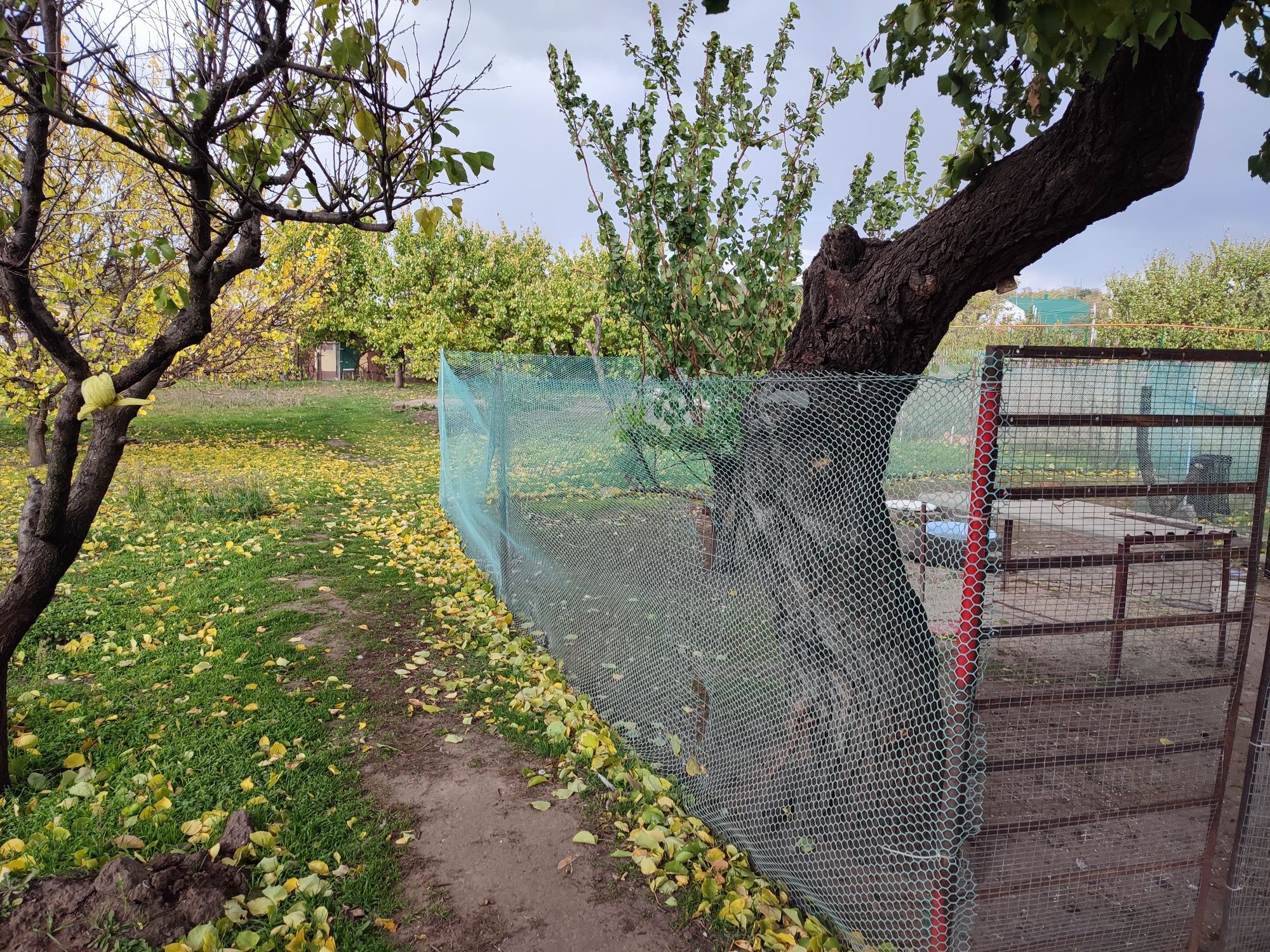 Продам будинок, Кушугум.