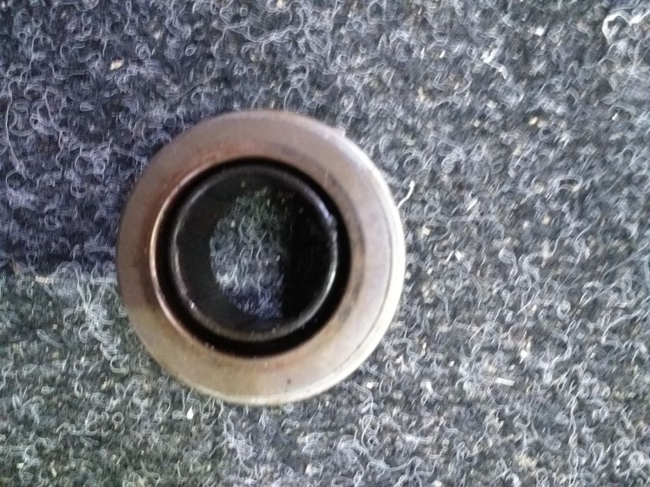 Щеплення нове wag Volkswagen audi skoda seat