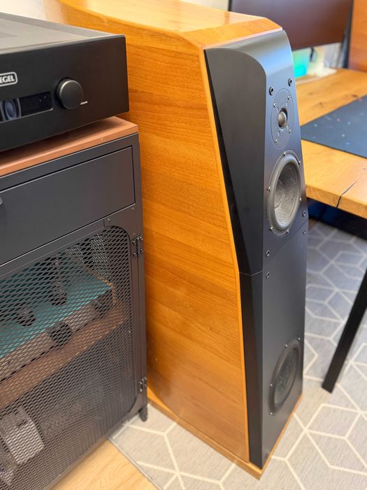 ‼️ Hi End акустика Usher CP-8571 Mk1, 2*150 Вт, грудной бас, 80+ кг