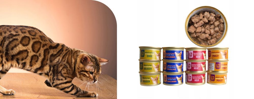 48 X Karma Mokra Boni Selection Dla Kotów, Cztery Smaki, 85G