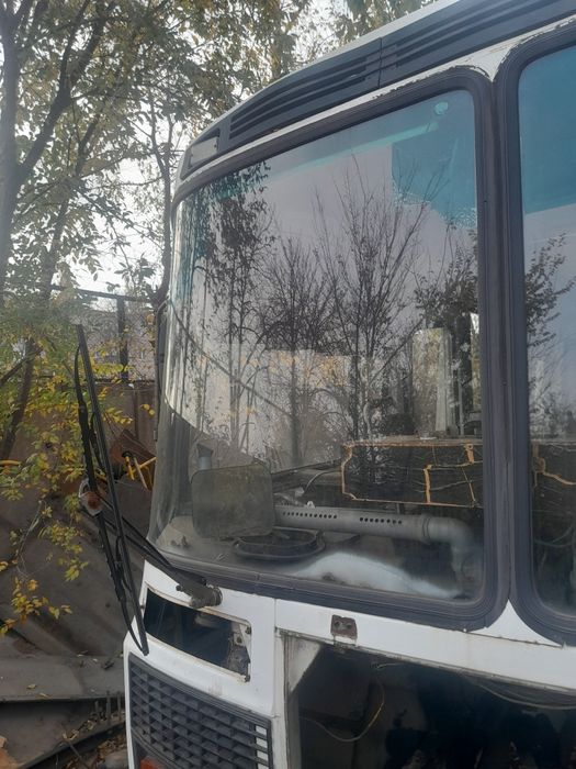 Лобовое стекло Паз