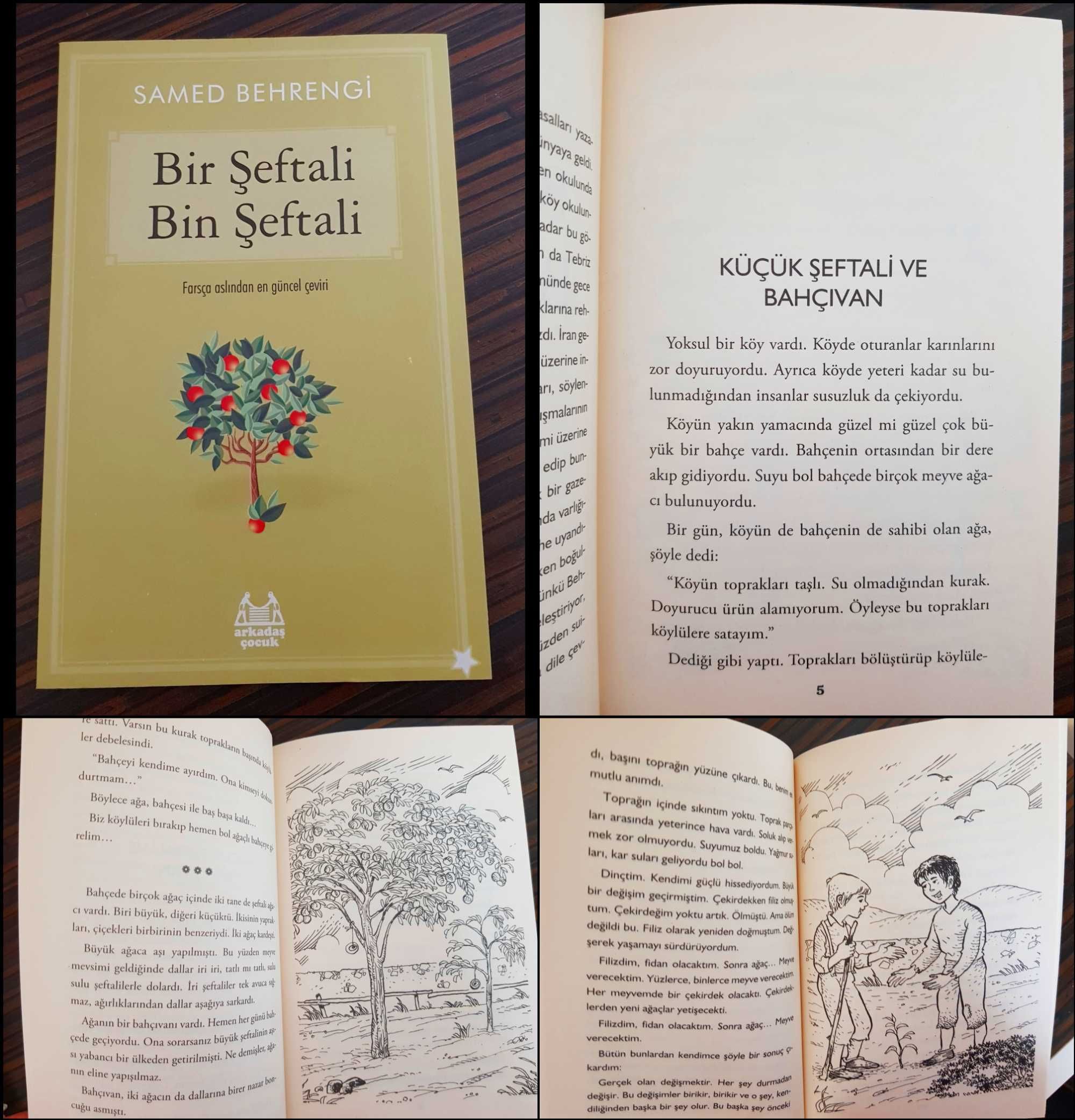 Дитячі книги турецькою мовою, турецькі казки (Türkçe çocuk kitapları)